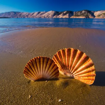 In With Sea View, Terrace, Air Conditioning, Wifi 4552-10 苏佩塔斯卡德拉加