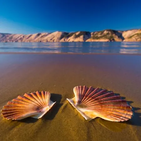 In With Sea View, Terrace, Air Conditioning, Wifi 4552-10 公寓