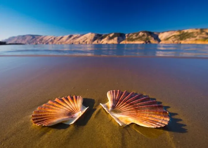 In With Sea View, Terrace, Air Conditioning, Wifi 4552-10 Apartman